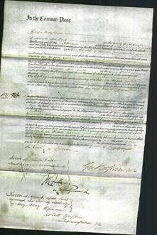 Court of Common Pleas - Caroline Cammomile-Original Ancestry