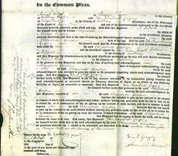 Court of Common Pleas - Elizabeth Gordon-Original Ancestry