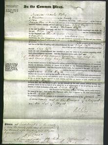 Court of Common Pleas - Eliza Ruffle-Original Ancestry