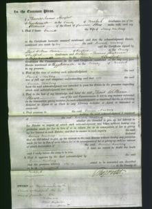 Court of Common Pleas - Emma Newbery-Original Ancestry