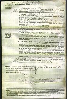 Court of Common Pleas - Mary Ann Peeth-Original Ancestry