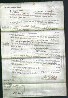 Court of Common Pleas - Jane Ann Watson-Original Ancestry