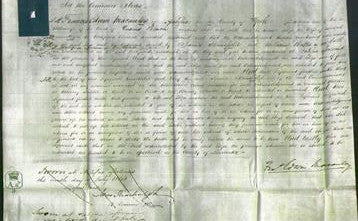 Court of Common Pleas - Eliza Emmet-Original Ancestry