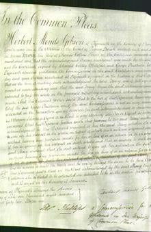 Court of Common Pleas - Mary Hine-Original Ancestry