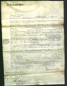 Court of Common Pleas - Ann Smart-Original Ancestry
