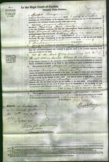 Court of Common Pleas - Margaret Anne Newby-Original Ancestry