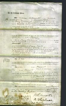 Court of Common Pleas - Hannah Barns-Original Ancestry