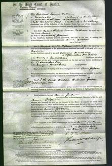 Court of Common Pleas - Anna Goodwin-Original Ancestry