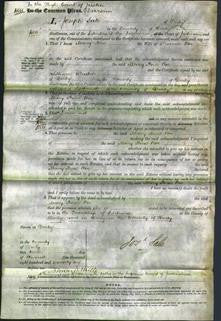 Court of Common Pleas - Mary Ann Roe-Original Ancestry