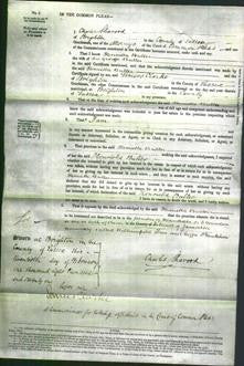 Court of Common Pleas - Henrietta Buller-Original Ancestry