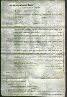 Court of Common Pleas - Ann Lewis and Lucy Caroline Wheeler-Original Ancestry