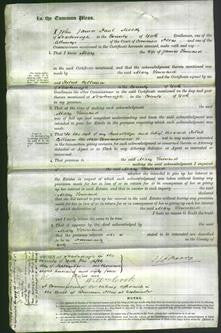 Court of Common Pleas - Mary Townend-Original Ancestry