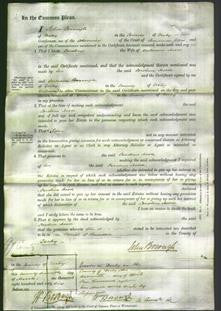 Court of Common Pleas - Caroline Hood-Original Ancestry