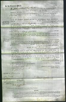 Court of Common Pleas - Betsey Steward Purdy-Original Ancestry