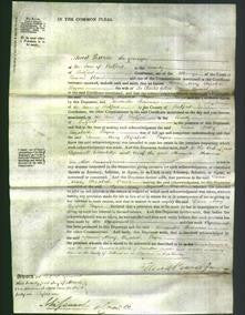 Court of Common Pleas - Dame Mary Elizabeth Payne-Original Ancestry