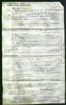 Court of Common Pleas - Jane Aldred-Original Ancestry