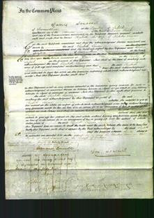 Court of Common Pleas - Elizabeth Simons-Original Ancestry