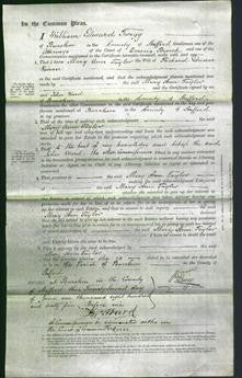 Court of Common Pleas - Mary Ann Taylor Vivian-Original Ancestry