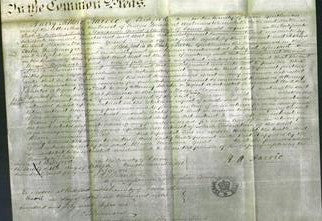 Court of Common Pleas - Maria Marianne Gould-Original Ancestry