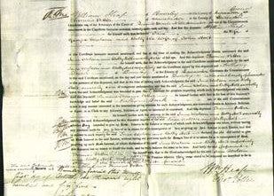 Court of Common Pleas - Jane Watson, Betty Holt-Original Ancestry