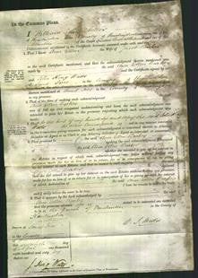 Court of Common Pleas - Ann Ellen Barker-Original Ancestry