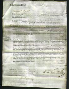 Court of Common Pleas - Elizabeth Ann Smith-Original Ancestry