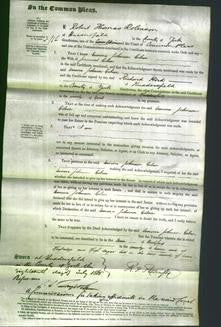 Court of Common Pleas - Emma Johnson Gibson