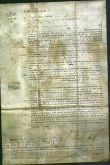 Court of Common Pleas - Hannah Ogden, Jane Rutherford, Eliza Shaw and Sarah Downham-Original Ancestry