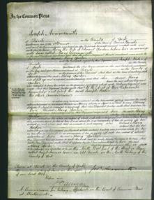 Court of Common Pleas - Mary Bosomworth Yarker-Original Ancestry