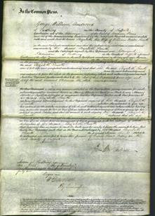 Court of Common Pleas - Elizabeth Smith-Original Ancestry