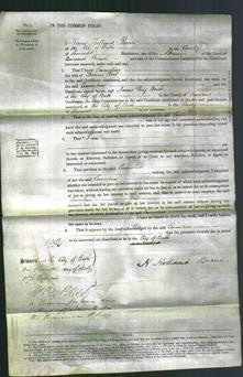 Court of Common Pleas - Emmeline Kerl-Original Ancestry