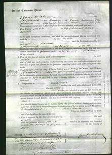 Court of Common Pleas - Maria Colwill-Original Ancestry