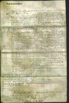 Court of Common Pleas - Elizabeth Nicholson-Original Ancestry