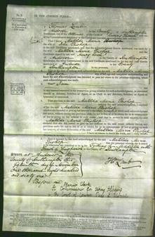 Court of Common Pleas - Matilda Maria Bishop-Original Ancestry