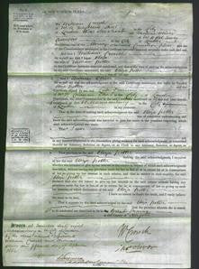 Court of Common Pleas - Eliza Potter-Original Ancestry