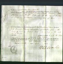 Appointment of Special Commisioners - Fetherston Haugh Briscoe, John Phillips, Ralph Scott-Original Ancestry