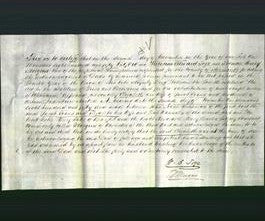 Deed by Married Women - Elizabeth Evans-Original Ancestry