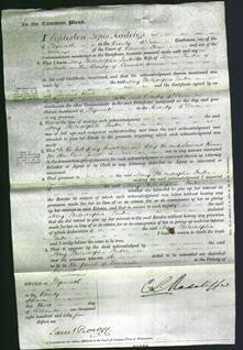 Court of Common Pleas - Mary Philadelphia Panter-Original Ancestry