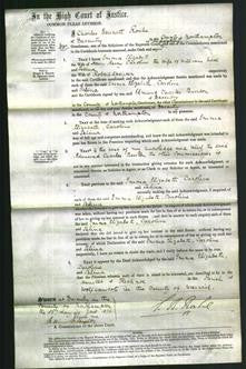 Court of Common Pleas - Emma Elizabeth Berry, Caroline Neal, Selina Spencer-Original Ancestry