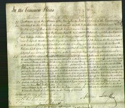 Court of Common Pleas - Charlotte Heal-Original Ancestry