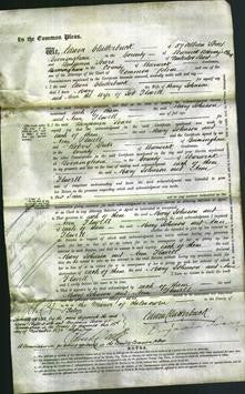 Court of Common Pleas - Mary Johnson, Ann Flavell-Original Ancestry