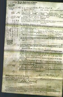 Court of Common Pleas - Mary Augustine Despard-Original Ancestry