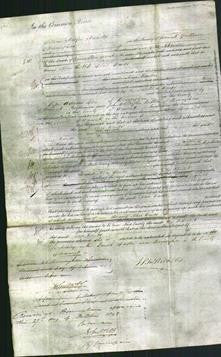 Court of Common Pleas - Alice Hands-Original Ancestry