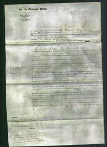 Court of Common Pleas - The Right Honorable Lady Catherine Saunderson-Original Ancestry