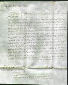 Court of Common Pleas - Eliza Sutton-Original Ancestry