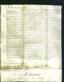 Court of Common Pleas - Rachael Charles-Original Ancestry