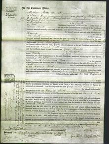 Court of Common Pleas - Hannah Smith-Original Ancestry