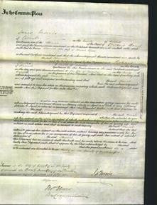 Court of Common Pleas - Hannah Pepper-Original Ancestry