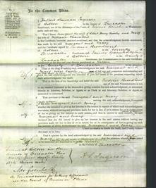 Court of Common Pleas - Margaret Brierley and Mary Chambers-Original Ancestry