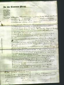 Court of Common Pleas - Mary Ann Greenway Curtis-Original Ancestry